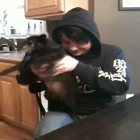 My Chemical Romance GIF. Artiesten My chemical romance Gifs Gerard manier 