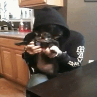 My Chemical Romance GIF. Artiesten My chemical romance Helena Gifs 