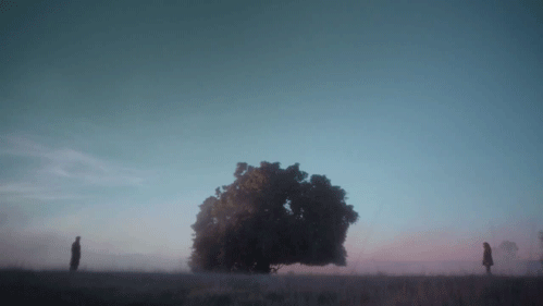 Artiesten Paramore Gifs album deksel chsie 