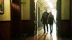 Paramore GIF. Artiesten Paramore Gifs 