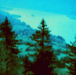 Paramore GIF. Artiesten Paramore Gifs Myedit Schemering Decoderen 