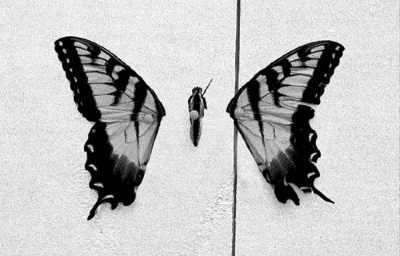 Artiesten Paramore Gifs 