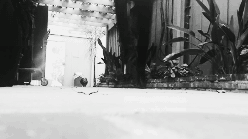 Artiesten Paramore Gifs thefinalriot 
