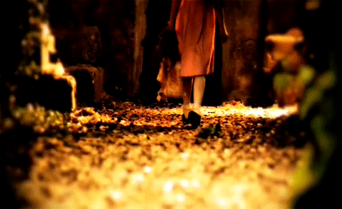 Artiesten Paramore Gifs 