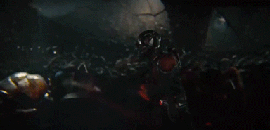 Paul Rudd GIF. Tv Gifs Filmsterren Paul rudd Snl Saturday night live 