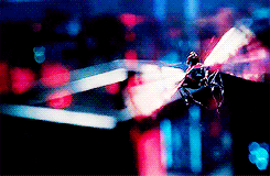 Paul Rudd GIF. Dansen Gifs Filmsterren Paul rudd 