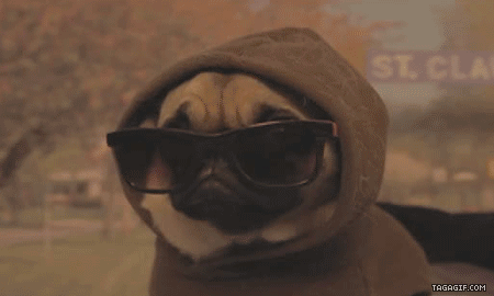 Dieren Tong Gifs Mopshond het+wachten levendig 