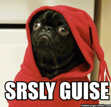 Dieren Grappig Gifs Mopshond brutaal houding 