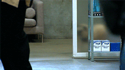 Honden GIF. Dieren Gifs Hond Mopshond 