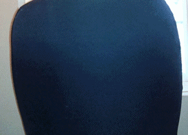 Honden GIF. Dieren Kerstmis Gifs Hond Mopshond Santa 
