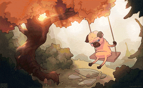 Dieren Gifs Hond Mopshond 