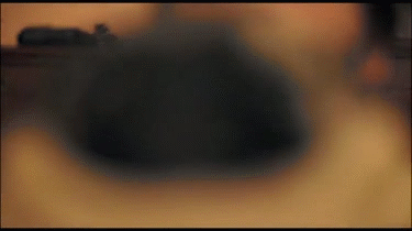 Dieren Schattig Puppy Gifs Mopshond de+mijne  puppies 