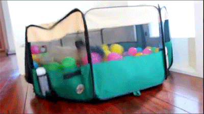 Dieren Puppy Gifs Mopshond 