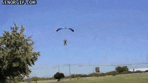 Mopshond GIF. Dieren Schattig Gifs Mopshond Dier Huisdier Huis 