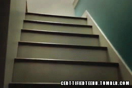 Honden GIF. Dieren Gifs Hond Mopshond Likken Scherm 