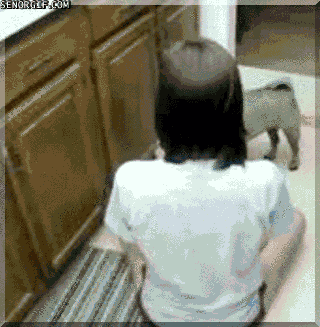 Dieren Gifs Mopshond marionet 