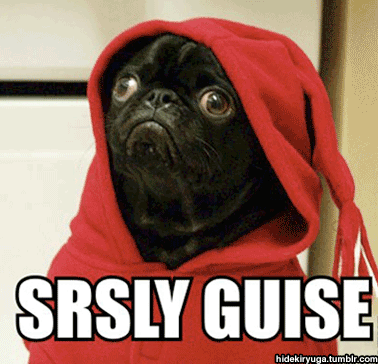 Dieren Gifs Hond Mopshond knal 