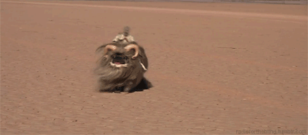 Dieren Grappig Gifs Hond Mopshond brutaal 