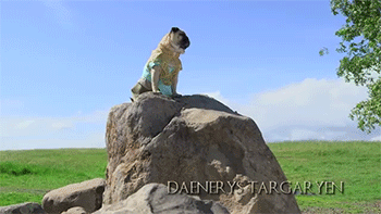 Dieren Tong Gifs Mopshond het+wachten levendig 