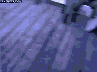 Dieren Gifs Hond Mopshond knal 