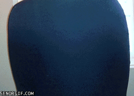 Honden GIF. Dieren Gifs Hond Mopshond Glimlach 