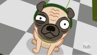 Dieren Gifs Mopshond trap 