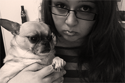Mopshond GIF. Dieren Puppy Gifs Hond Mopshond Huisdier 