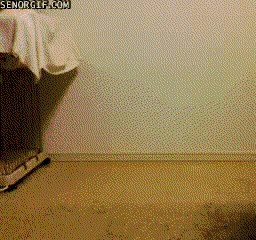 Honden GIF. Dieren Dansen Gifs Hond Mopshond Truc Pugs Staand Sundogs 