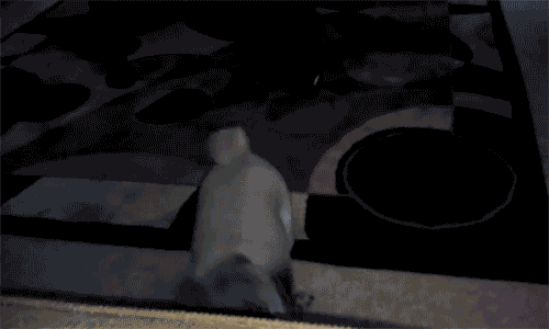 Dieren Gifs Mopshond likken snel 