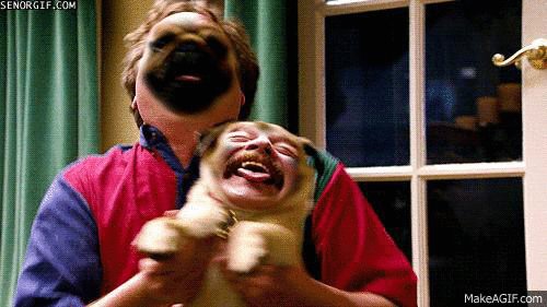 Dieren Gifs Hond Mopshond 