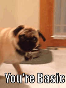 Mopshond GIF. Dieren Gifs Hond Mopshond Wtf Likken Nieuwsgierig Toilet Halp 