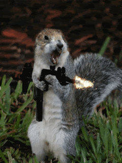Films en series Rambo Gifs buit 