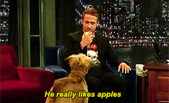 Ryan Gosling GIF. Gifs Filmsterren Ryan gosling Crazy stupid love 