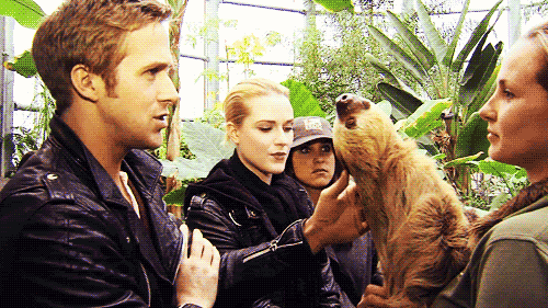 Ryan Gosling GIF. Boos Geweer The notebook Gifs Filmsterren Ryan gosling 