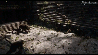 Scarlett Johansson GIF. Avengers Gifs Filmsterren Scarlett johansson The avengers 