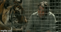 Scarlett Johansson GIF. Gifs Filmsterren Scarlett johansson Thegoodfilms Lost in translation 