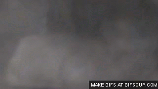 Shrek Films en series Gifs 