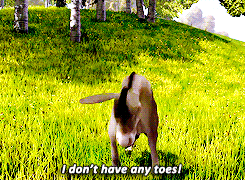 Shrek GIF. Dansen Shrek Films en series Ezel Gifs Megamind 