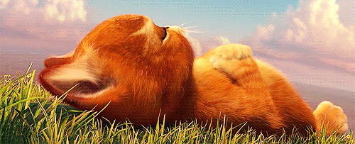 Shrek Films en series Gifs cartoons en comics 