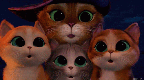 Shrek Katten Film Films en series Kat Gifs 
