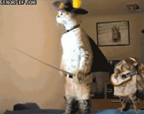 Shrek GIF. Shrek Films en series Gifs 