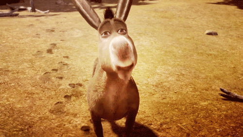 Shrek Films en series Gifs 