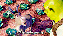 Shrek GIF. Bioscoop Shrek Films en series Gifs 