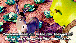 Shrek GIF. Shrek Films en series Gifs Cartoons en comics 