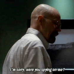 Breaking Bad GIF. Films en series Breaking bad Gifs Skyler white Walter white Door htbthomas Skyler zien door walts stront i 