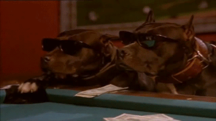 Muziek Artiesten Gifs Snoop dogg 
