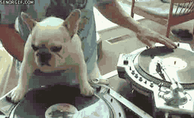 Artiesten Gifs Snoop dogg 