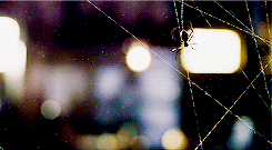 Spiderman GIF. Spiderman Films en series Gifs 