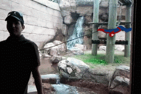 Spiderman GIF. Spiderman Films en series Gifs Animatie Photobucket Gimp Tblnisog 