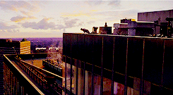 Spiderman GIF. Spiderman Films en series Gifs Schuit Vs Wolverine 